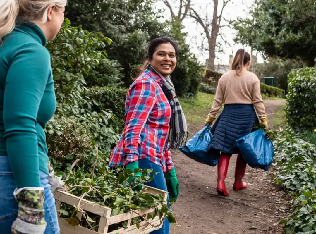 Three people gardening