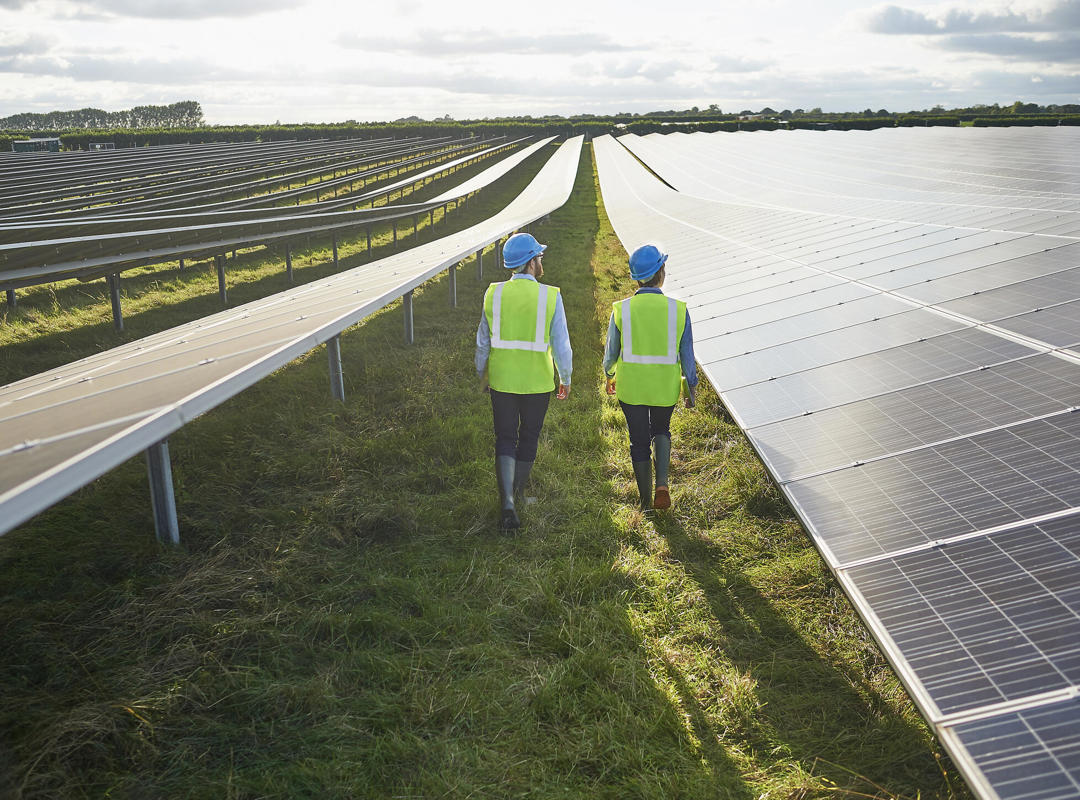 Two People Walking Through A Solar Panel Field