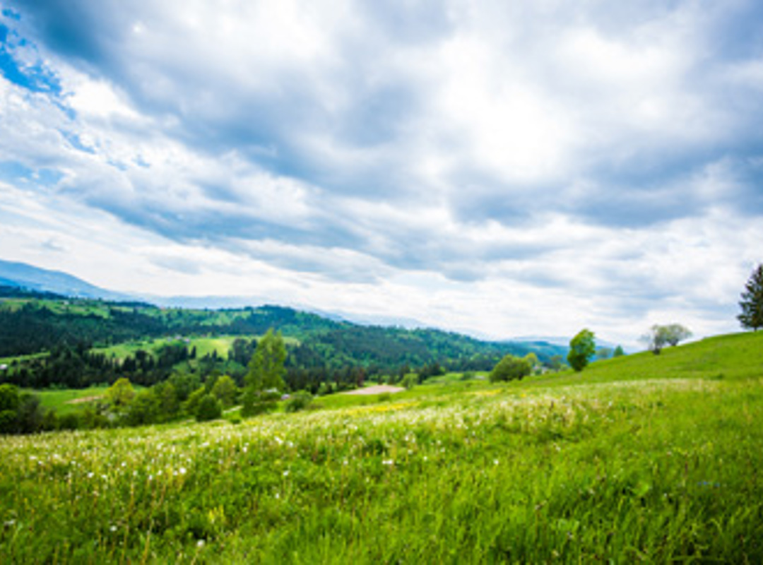 Phoenix Group Announced As A Sponsor