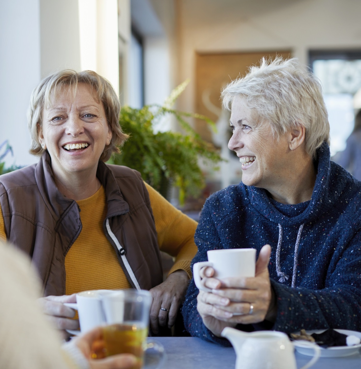 Women Sitting Having A Coffee