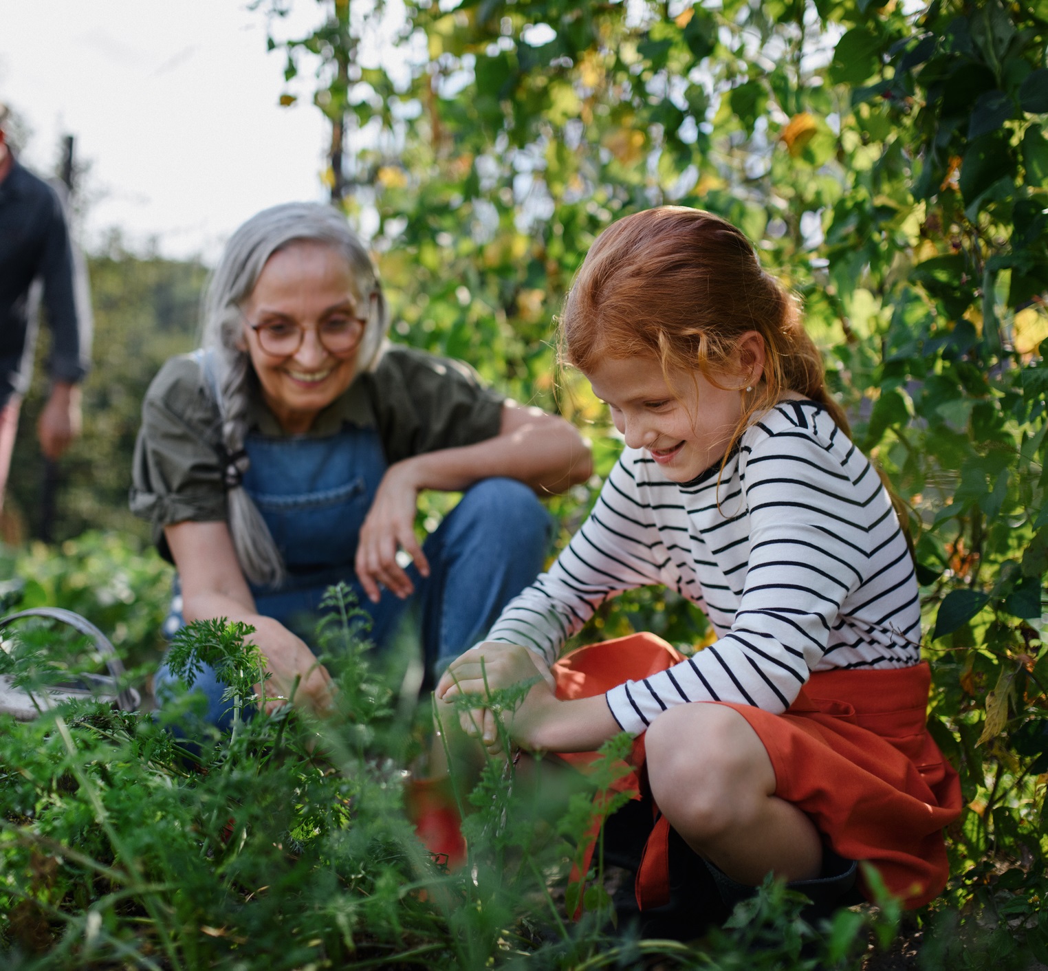 Family Gardening