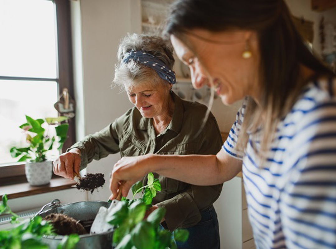 Average Retirement Income