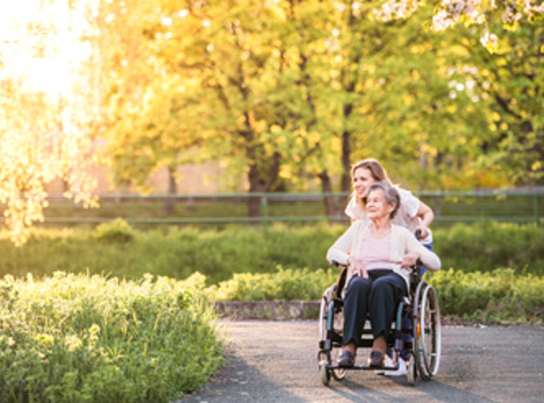 Person In Wheelchair With Friend In Park