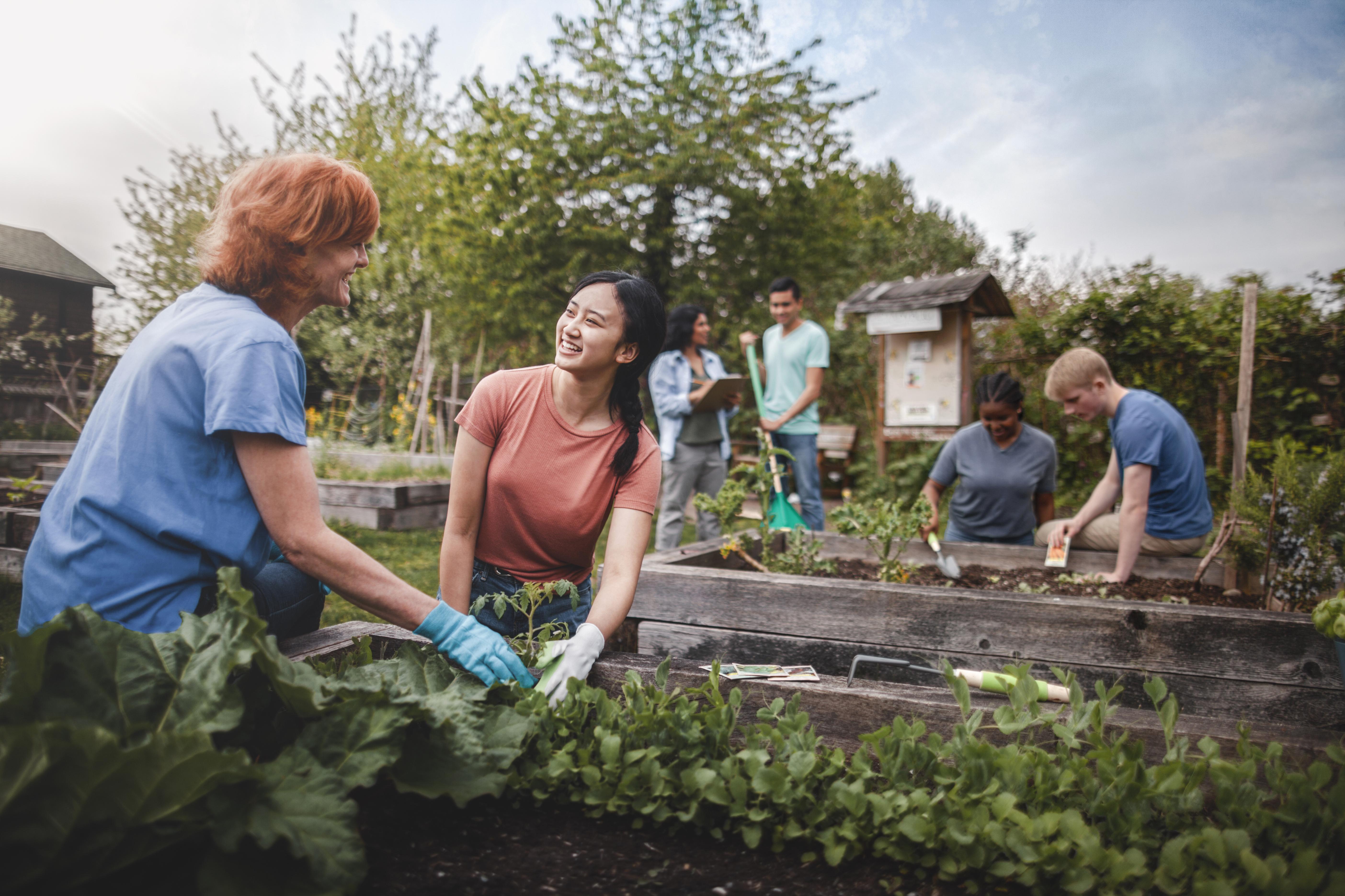 People gardening